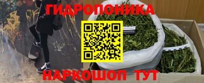 хмурый Краснодар
