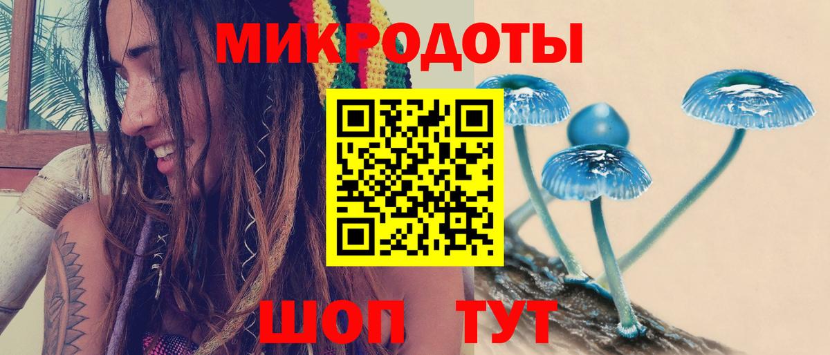 Псилоцибиновые грибы GOLDEN TEACHER  Вход с VPN  Псилоцибиновые грибы Cubensis  Коряжма 
